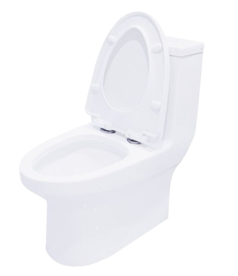 สุขภัณฑ์ชิ้นเดียว 3/4.8L C11000 WORTH